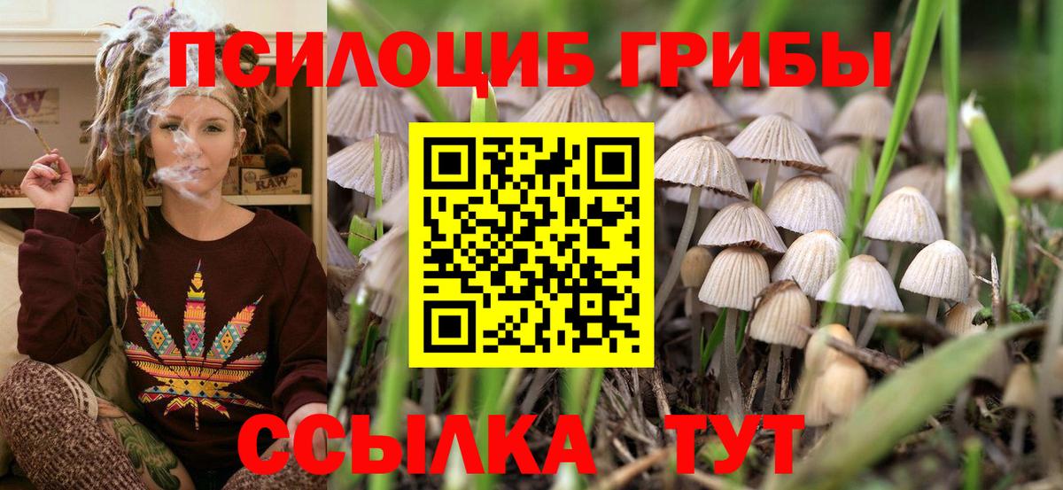 Псилоцибиновые грибы MAGIC MUSHROOMS Москва