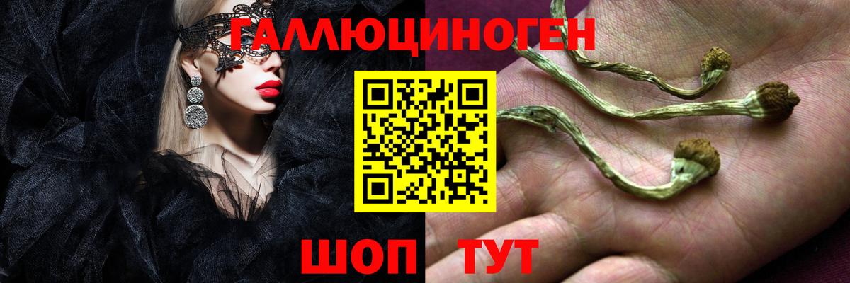 Псилоцибиновые грибы Cubensis  Псилоцибиновые грибы прущие грибы  Вход с VPN  продажа наркотиков  Москва 